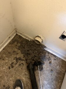 DRYER VENT CLEANING